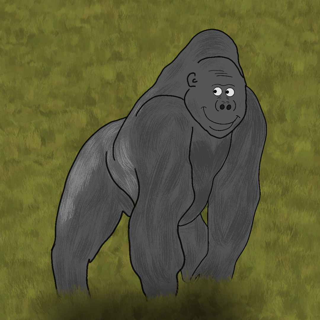 gorilla