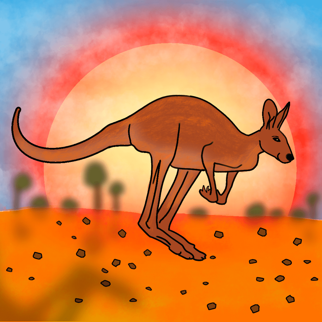 kangaroo