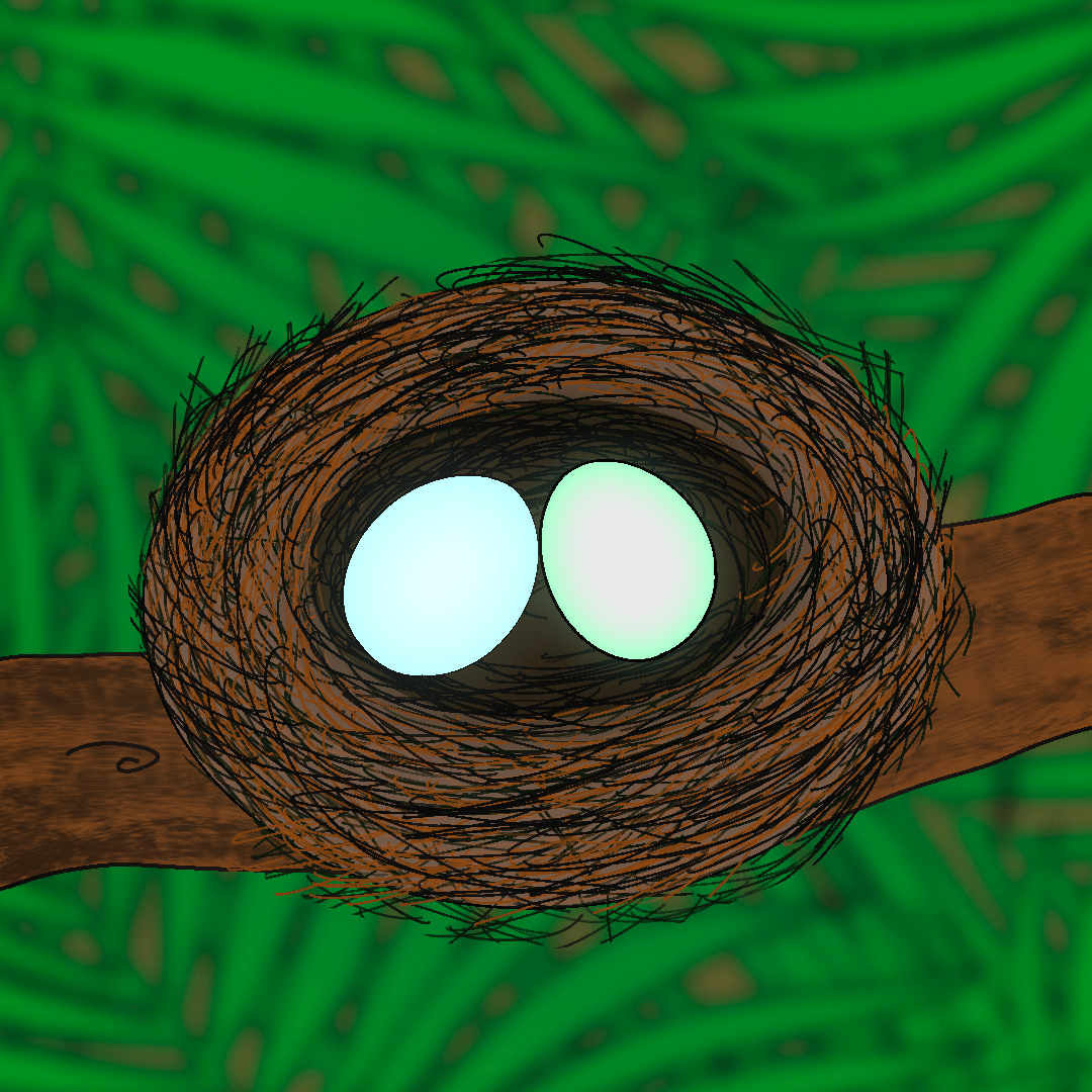 nest