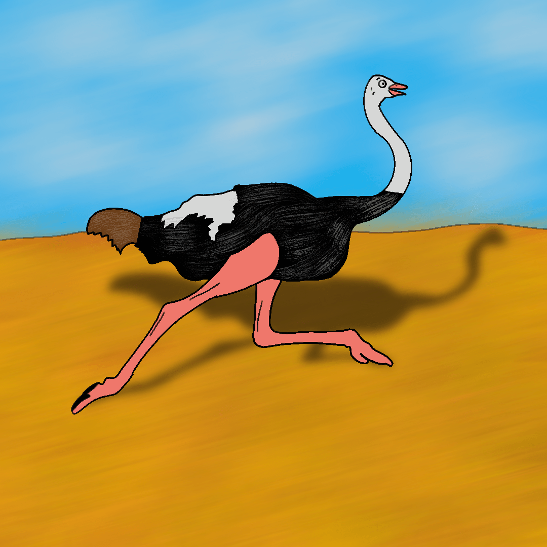 ostrich